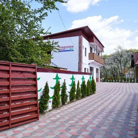 Pensiunea Cristina Felsővisó Kültér fotó